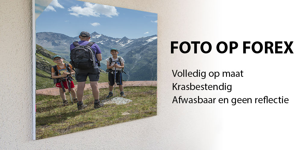 Forexen canvassen grootformaatprint